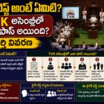 తమిళనాడు అసెంబ్లీలో TVK ఫ్లోర్ టెస్ట్ — విజయ్ 144 ఓట్లతో విశ్వాస పరీక్ష గెలిచారు
