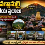 అరుణాచలం కొండ, తిరువణ్ణామలై అరుణాచలేశ్వర ఆలయం, రమణ మహర్షి ఆశ్రమం మరియు యాత్రా ప్రదేశాలతో రూపొందించిన యూట్యూబ్ థంబ్నెయిల్