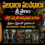 శ్రీశైలంలో ఫలధారా పంచధారా జలపాతాల వద్ద 160 మెట్లు దిగిన దృశ్యం