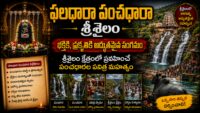 శ్రీశైలంలో ఫలధారా పంచధారా జలపాతాల వద్ద 160 మెట్లు దిగిన దృశ్యం
