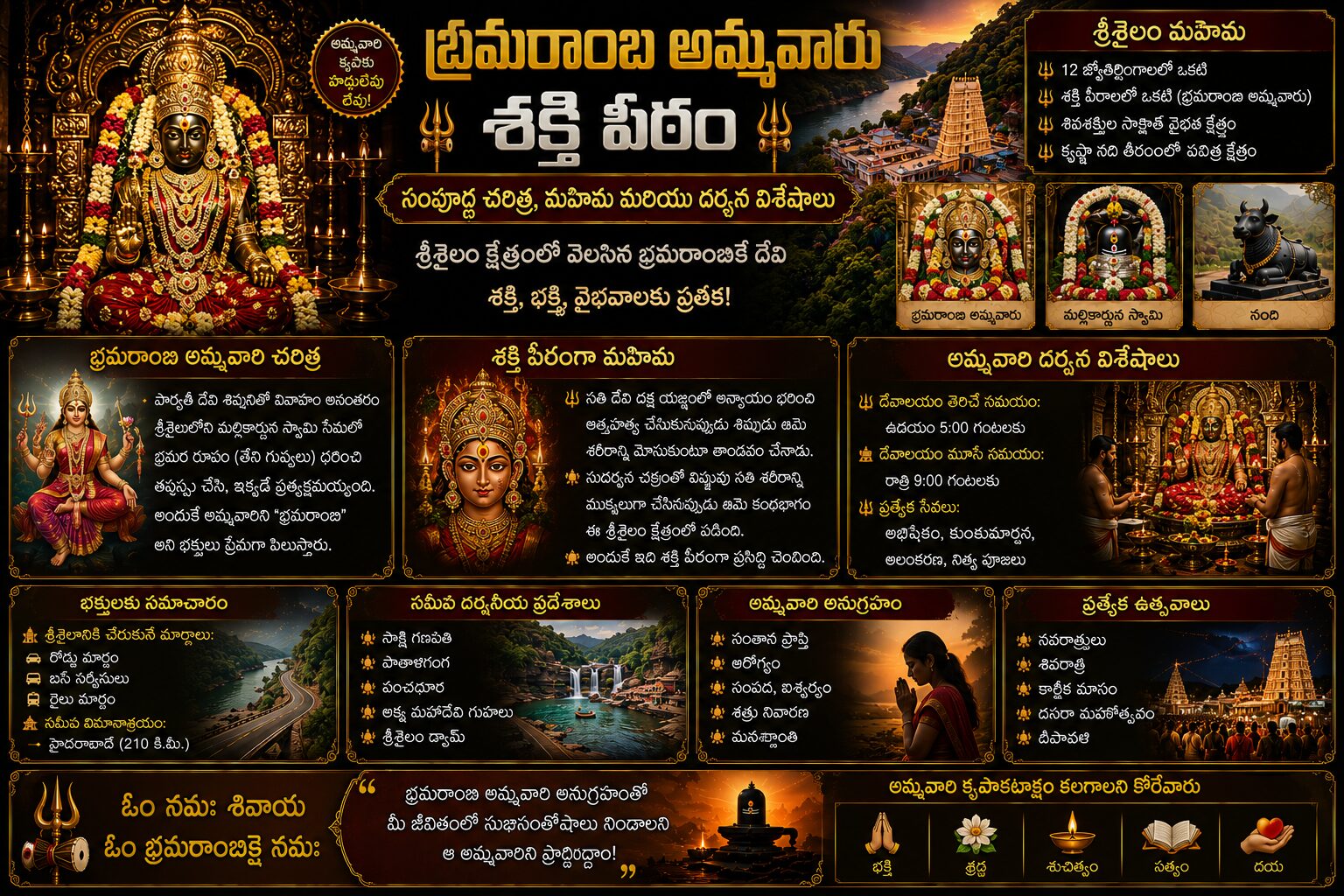 శ్రీశైలం బ్రహ్మారంభ అమ్మవారి శక్తి పీఠం గర్భగుడి దర్శనం