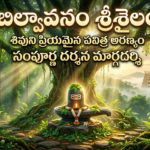 శ్రీశైలం బిల్వావనం పవిత్ర అరణ్యంలో శివలింగం, వెనుక భాగంలో శ్రీశైలం మల్లికార్జున స్వామి గోపురం మరియు తెలుగు టెక్స్ట్‌తో కూడిన యూట్యూబ్ థంబ్‌నెయిల్.