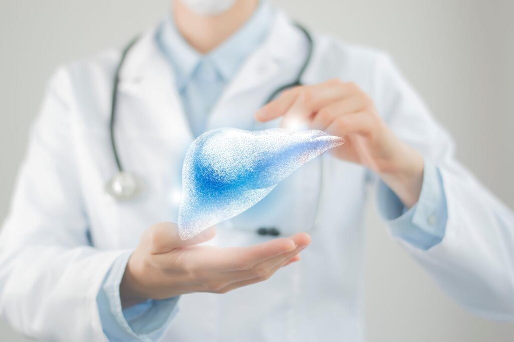 Creatine Liver Effects