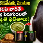 Long, healthy black hair with amla, curry leaves, fenugreek seeds, and herbal hair mask showing a natural hair growth remedy.