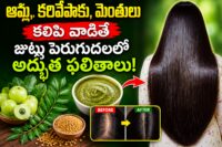 Long, healthy black hair with amla, curry leaves, fenugreek seeds, and herbal hair mask showing a natural hair growth remedy.