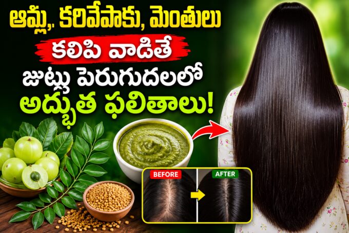 Long, healthy black hair with amla, curry leaves, fenugreek seeds, and herbal hair mask showing a natural hair growth remedy.