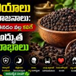 నల్ల మిరియాలు ఆయుర్వేద ప్రయోజనాలు