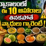 వర్షాకాలంలో ఆరోగ్యానికి ఉపయోగపడే 10 ఆహారాలు – చరక సంహిత సూచనలు
