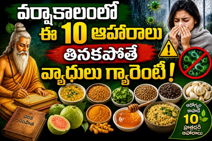 వర్షాకాలంలో ఆరోగ్యానికి ఉపయోగపడే 10 ఆహారాలు – చరక సంహిత సూచనలు